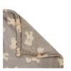 BLANKET TED BROWN 50X60